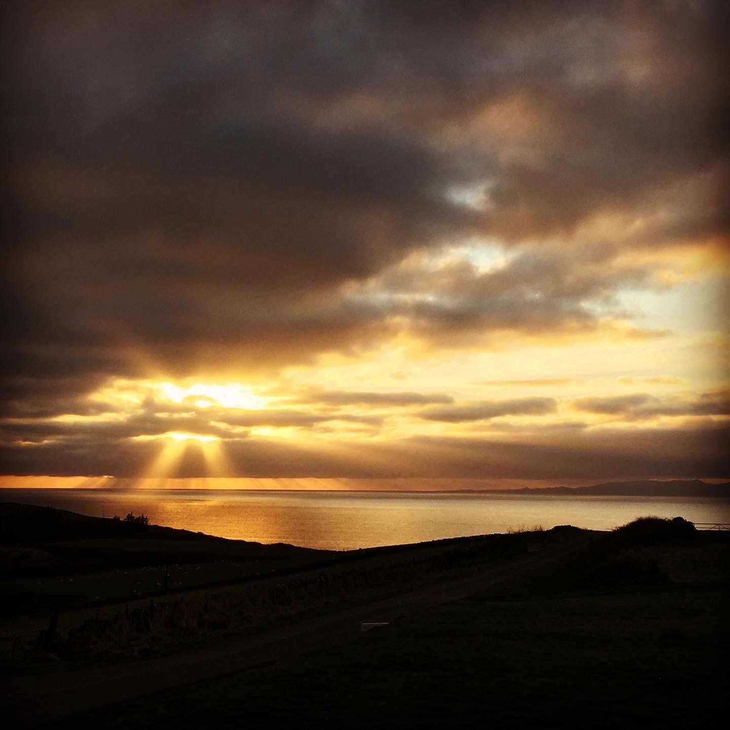 615BCCF9-121A-49CC-9E07-417CFFB7559D